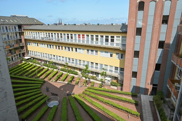 Medium property photo - Torenstraat 23, 2513 BN Den Haag